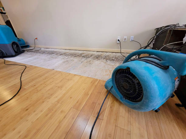 Professional Ceiling Water Damage Repair technician working in Molino, FL